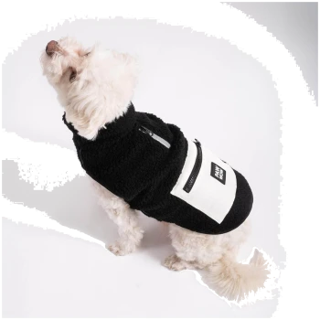 Ein kleiner weißer Hund trägt eine schwarze Fleecejacke mit einer Fronttasche und schaut gegen einen weißen Hintergrund.
