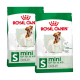 Zwei Beutel Royal Canin Mini Adult Hundefutter, mit einem kleinen Hund auf der Verpackung, beschriftet mit "Gewichtserhaltung" und "Optimale Gesundheitsunterstützung."