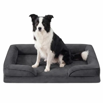 Schwarz-weißer Border Collie sitzt auf einem anthrazitgrauen, plüschigen, rechteckigen Hundebett mit Rand.