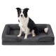 Schwarz-weißer Border Collie sitzt auf einem anthrazitgrauen, plüschigen, rechteckigen Hundebett mit Rand.