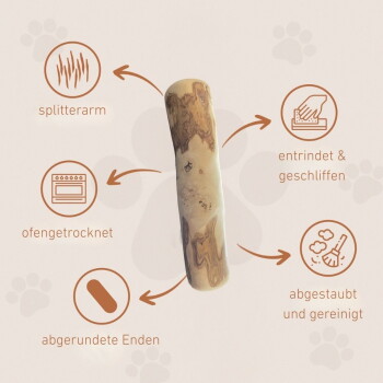 Natürlicher Hundekau-Stick mit abgerundeten Enden, beschriftet mit Eigenschaften: "splitterfrei," "ofengetrocknet," "geschliffen & poliert," "staubfrei & gereinigt."