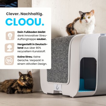 Eine graue Katzenstreuschachtel mit einem sitzenden Kater und einem liegenden daneben, die ihr stilvolles, nachhaltiges und geruchsfreies Design zeigt.