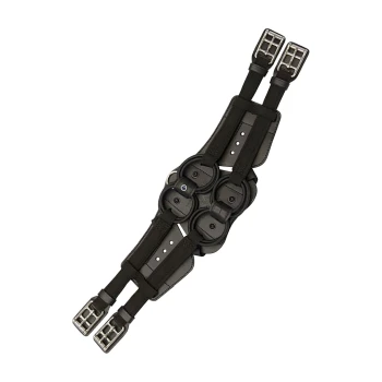 Schwarzes Haustiergeschirr mit verstellbaren Riemen und Metallverschlüssen, entworfen für Komfort und Sicherheit während der Spaziergänge.