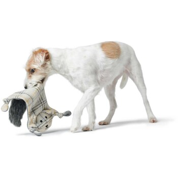 Ein verspielter weißer Hund mit braunen Flecken trägt ein weiches, kariertes Spielzeug, das einem Waschbären ähnelt, und zeigt seine verspielte Natur.