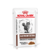 Royal Canin Veterinary Gastrointestinal Katzenfutterbeutel mit einer grauen getigerten Katze, gekennzeichnet mit "Moderate Calorie" und "Thin Slices in Gravy."
