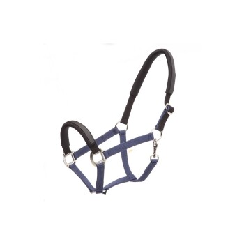 KavalLastic blau VB/ COB (Vollblut)
