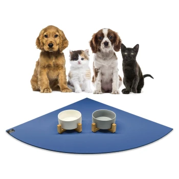 Eine Gruppe von vier Haustieren, darunter zwei Hunde, eine Katze und ein schwarzes Kätzchen, sitzt vor zwei Haustierschüsseln auf einer blauen Matte.