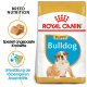 Royal Canin Bulldog Puppy Hundefutterbeutel mit einem Bild eines Welpen, mit Text, der die Rassenernährung und die Unterstützung des Immunsystems hervorhebt.