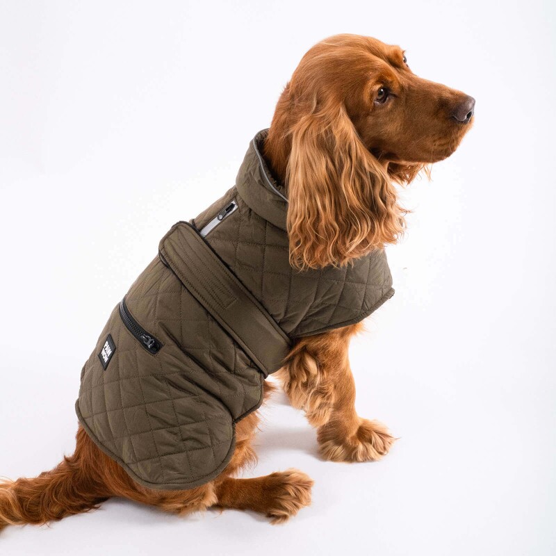 PAW WOW Hundejacke FRITZ Olive S