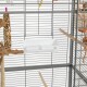 Das Innere eines Vogelkäfigs mit einer weißen Futterschale, Holzstangen und einem bunten Vogelsnack, der an der Seite hängt.