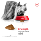 A Yorkshire Terrier eats from a red bowl of kibble, with a highlighted piece labeled "Very small & very palatable" and a 1 cm scale.