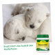Zwei schlafende weiße Welpen kuscheln auf einer weichen Oberfläche mit cdVet Puppy Milk in der Nähe. Text: "Ersatzmilch bei Ausfall des Muttertieres."