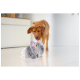 Ein verspielter brauner Hund nähert sich einem weichen, grauen Elefantenspielzeug mit rosa Ohren auf einem glänzenden Boden und zeigt eine gemütliche Innenumgebung.