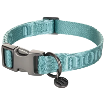 Collier pour animal réglable bleu clair avec boucle en plastique noir et anneau en métal avec petite étiquette noire.