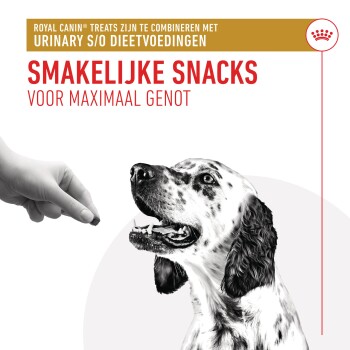 Een hand biedt een traktatie aan een blije, gevlekte hond. Tekst: "Smakelijke Snacks voor maximaal genot," met Royal Canin® urine dieet traktaties.