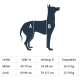 Illustration eines Hundes mit beschrifteten Maßen A und B sowie einer Größentabelle für die Höhe, den Umfang und das Gewicht von mittelgroßen und großen Hunden.