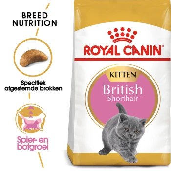 Royal Canin British Shorthair kittenvoedselzak met een grijze kitten, met tekst die de voeding voor het ras en de specifieke brokvorm benadrukt.