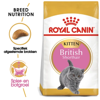 Royal Canin British Shorthair kittenvoedselzak met een grijze kitten, met tekst die de voeding voor het ras en de specifieke brokvorm benadrukt.