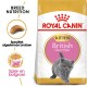 Royal Canin British Shorthair kittenvoedselzak met een grijze kitten, met tekst die de voeding voor het ras en de specifieke brokvorm benadrukt.