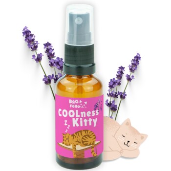 BeG Buddy COOLness Kitty Spray für Katzen, Beruhigung / Entspannung Katze