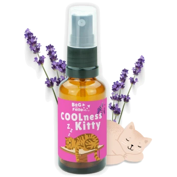 Eine Flasche "COOLness Kitty" Spray von BeG Fello, mit einer schlafenden getigerten Katze auf einem rosa Etikett, umgeben von Lavendelblüten.