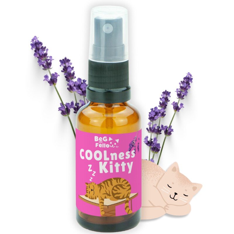 BeG Buddy COOLness Kitty Spray für Katzen, Beruhigung / Entspannung Katze 30ml