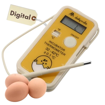 Digitales Brutthermometer (gelb) mit Sonde, Anzeige 32–42 °C ±0,1 °C, Etikett 'AA dailymate' und Markierung 'Digital', drei Eier