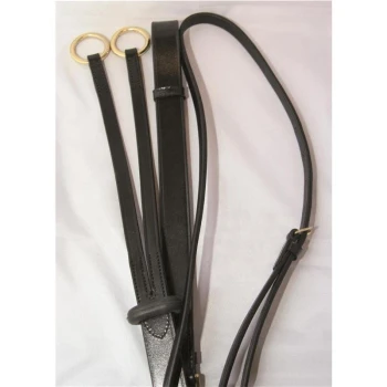 Schwarze Leder-Hundeleine mit goldenen Ringen und verstellbarem Schnallenverschluss, flach auf einem weißen Hintergrund ausgelegt.