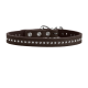 Brauner Lederhundehalsband, verziert mit silbernen Nieten und einer Metall-Schnalle, die ein stilvolles und langlebiges Design zeigt.