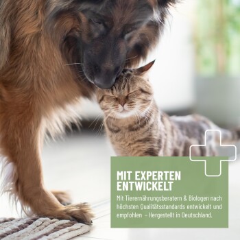 Reavet Bierhefe Naturrein Verpackung mit goldenem Etikett, das das Vitamin-B-Komplex und Anwendungshinweise für Haustiere beschreibt.