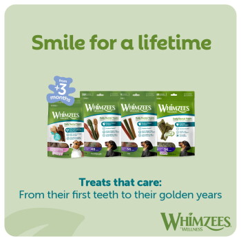 Whimzees Wellness dog dental treat packages and dogs, with headline "Smile for a lifetime" and subtext "Treats that care."