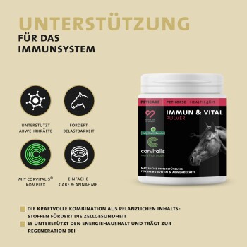 Glas mit Peticare Pethorse Immun & Vital Pulver für Pferde, unterstützt das Immunsystem mit Corvitalis-Komplex, deutscher Text.