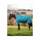 Ein braunes Pferd mit einer türkisfarbenen Decke steht auf grünem Gras mit einem verschwommenen Hintergrund aus Bäumen und Hügeln.