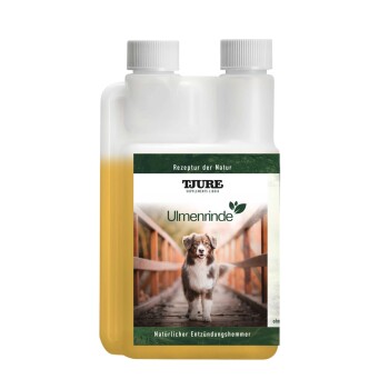 Ulmenrinde Liquid 250 ml