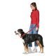 Eine Frau in einem roten Langarmshirt und blauen Jeans steht mit einem schwarz-braunen Hund an einer roten Leine und lächelt in die Kamera.
