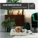 Ein kleiner Hund ruht sich in einem gemütlichen Bett aus, umgeben von stilvollem Dekor und Pflanzen. Text: "ZUM EINKUSCHELN schafft ein gemütliches Ambiente."