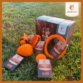 Eine Auswahl an leuchtend orangefarbenen Hundespielzeugen der Marke Wildfang, einschließlich eines Rings, eines Balls und eines strukturierten Spielzeugs, auf Gras mit Verpackung ausgestellt.