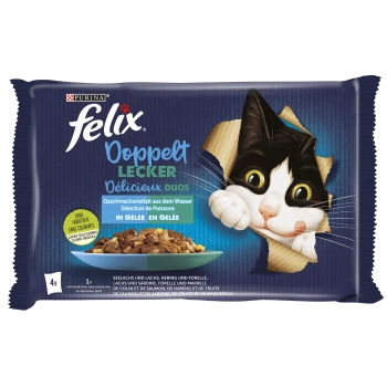 Eine Tüte Felix Katzenfutter mit einer verspielten schwarz-weißen Katze, die durch die zerrissene Verpackung schaut, mit 'Doppelt Lecker' und Fischgeschmack.