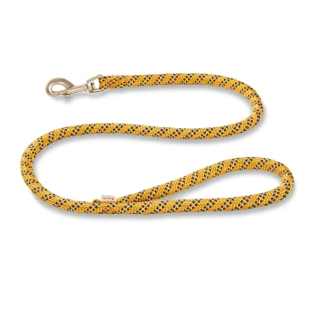 Gelb-schwarze geflochtene Hundeleine mit Metallverschluss und kleinem "WOLTERS"-Etikett auf weißem Hintergrund.