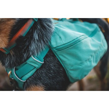 Nahaufnahme eines Hundegeschirrs mit einem türkisfarbenen Rucksack, mit einem sichtbaren, pelzigen Halsbereich und einem orangefarbenen Riemen.