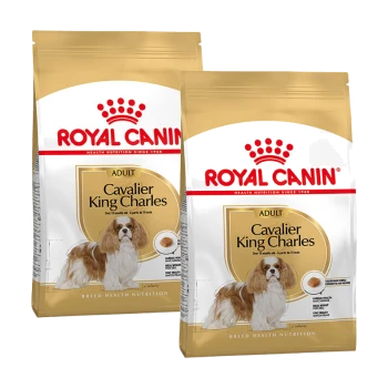 Zwei Säcke Royal Canin Hundefutter für Cavalier King Charles, gekennzeichnet mit "Erwachsen", geeignet für Hunde über 10 Monate alt.