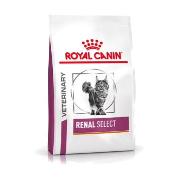 Royal Canin Veterinary Renal Select Katzenfutterbeutel mit einer Illustration einer grauen getigerten Katze, mit 'VETERINARY' und 'RENAL SELECT' deutlich angezeigt.