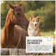 Teufelskralle Gelenk-Pulver für Hunde und Pferde, 1 kg Packung. Enthält natürliche Inhaltsstoffe für Gelenkbeweglichkeit und Unterstützung.