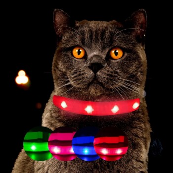Eine Nahaufnahme einer grauen Katze mit auffälligen orangen Augen, die ein leuchtend rotes LED-Halsband trägt, begleitet von bunten Halsbandoptionen in Grün, Pink und Blau.