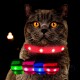 Eine Nahaufnahme einer grauen Katze mit auffälligen orangen Augen, die ein leuchtend rotes LED-Halsband trägt, begleitet von bunten Halsbandoptionen in Grün, Pink und Blau.