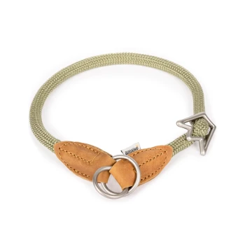 Ein stilvoller olivgrüner Hundehalsband aus geflochtenem Seil mit hellbraunen Lederakzenten und einem Metallring zur Leinenbefestigung.