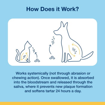 'How Does it Work?' infographic: cat and dog outlines with arrows and pellets; visible text 'Works systemically'
