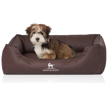 Flauschiger braun-weißer Welpe sitzt in einem braunen KNUFFELWUFF-Haustierbett mit weißem Hundesymbol und dem Schriftzug 'KNUFFELWUFF'.