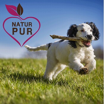 Ein verspielter schwarz-weißer Welpe läuft auf grünem Gras und hält einen Stock im Mund, mit einem rosa Herzlogo und dem Text "NATUR PUR" in der Ecke.