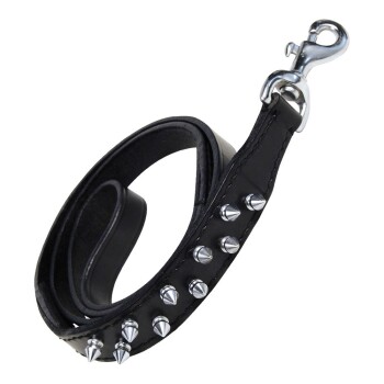 Hundeleine Schwarz 105 cm
